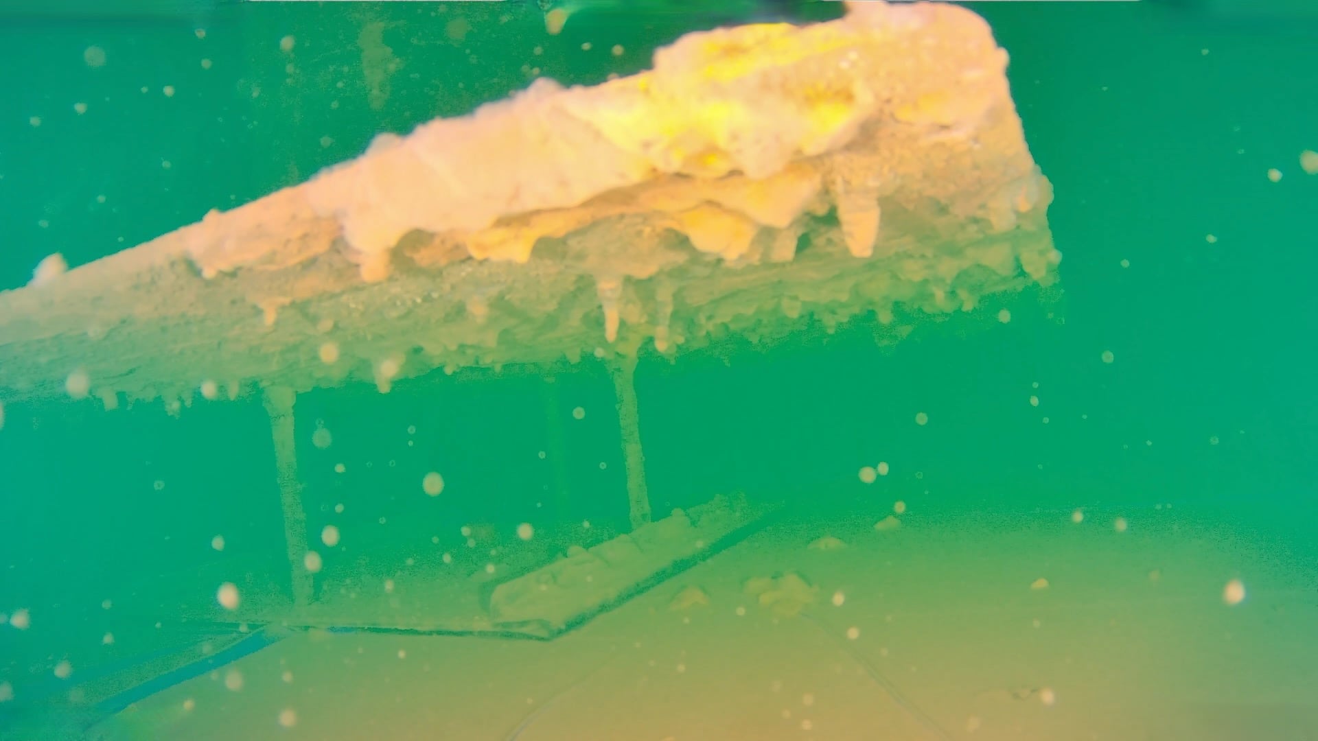 Heavy algae growth on anti-swirl plate &ndash; ROV finding