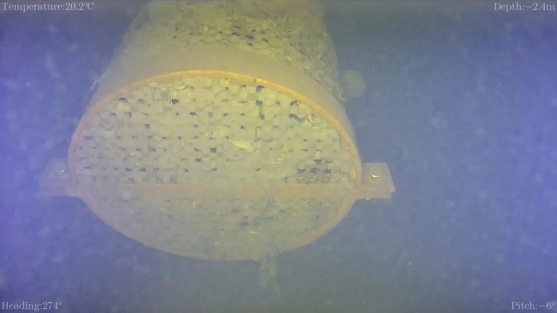 Ansaugbereich Kühlturmtasse – ROV-Unterwasseraufnahme